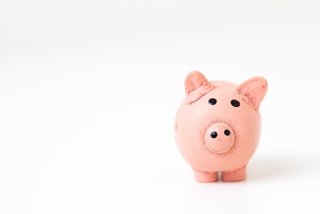 Cute pink piggy bank looking straight at the viewer and standing to the right of the photo