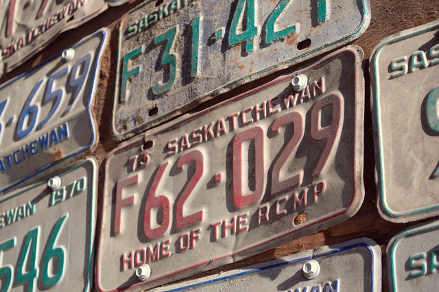 Old Saskatchewan license plates hanging on a wall