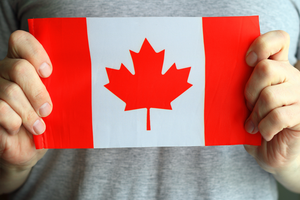 Two hands holding a Canadian flag in front of a gray T-shirt
